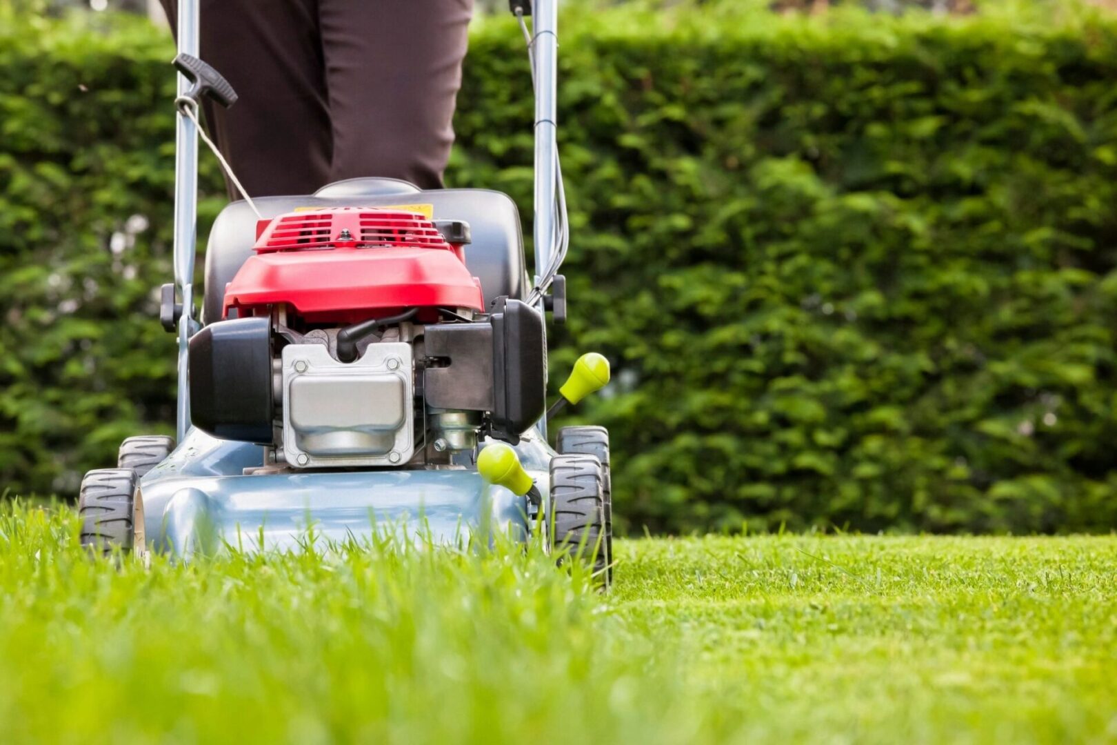 A person is using an electric mower to cut the grass.